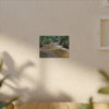 Tropical Creek Canvas Print — Matte Stretched Wall Art (Multi-Size) - El Yunque Rainforest - Puerto Rico - Deep forest explorations