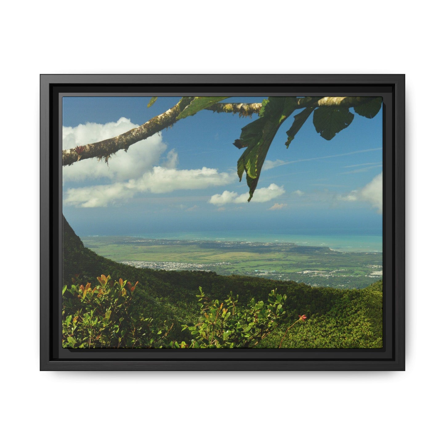 Tropical Vista Matte Canvas Framed Wall Art — Lush Mountain to Ocean Landscape - View from the Three Peaks of the Atlantic Ocean - El Yunque rainforest PR