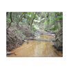 Matte Canvas Print — Tropical Forest Creek Wall Art (Stretched) - El Yunque Rainforest - Puerto Rico - Deep forest explorations