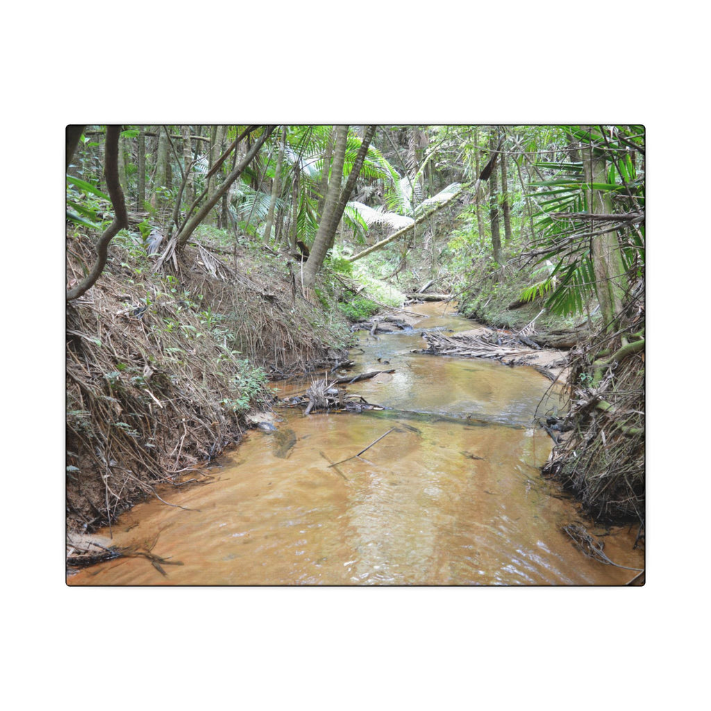 Matte Canvas Print — Tropical Forest Creek Wall Art (Stretched) - El Yunque Rainforest - Puerto Rico - Deep forest explorations