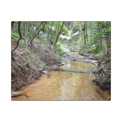 Matte Canvas Print — Tropical Forest Creek Wall Art (Stretched) - El Yunque Rainforest - Puerto Rico - Deep forest explorations