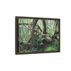 Framed Matte Canvas Wall Art — Tropical Rainforest Roots Photography - The dance of trees - a tree jumble where they hold each other - Nikon