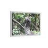Tropical Vista Matte Canvas Framed Wall Art - Forest explorations - Deep in Sabana River Unusual Tree formations ??? -  El Yunque rainforest PR