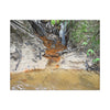 Rust-Tinged Creek Canvas Print — Natural Stream Landscape Wall Art - Tributary with decomposing matter orange color -  Deep forest explorations