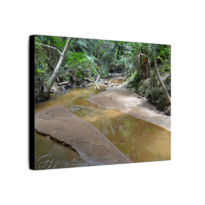 Tropical Creek Canvas Print — Matte Stretched Wall Art (Multi-Size) - El Yunque Rainforest - Puerto Rico - Deep forest explorations