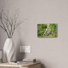 Tropical Waterfall Canvas Wall Art — Lush Jungle Landscape Print