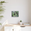 Tropical Vista Matte Canvas Framed Wall Art — Magic section of the remote Tradewinds Trail -  El Yunque rainforest PR