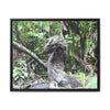 Tropical Vista Matte Canvas Framed Wall Art - Forest explorations - Deep in Sabana River Unusual Tree formations ??? -  El Yunque rainforest PR