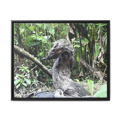 Tropical Vista Matte Canvas Framed Wall Art - Forest explorations - Deep in Sabana River Unusual Tree formations ??? -  El Yunque rainforest PR