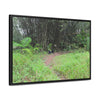 Rainforest Trails & Views - Gallery Canvas Wraps, Horizontal Frame - El Yunque National Forest - Puerto Rico - Path in camping zone near peaks - Green Forest Home