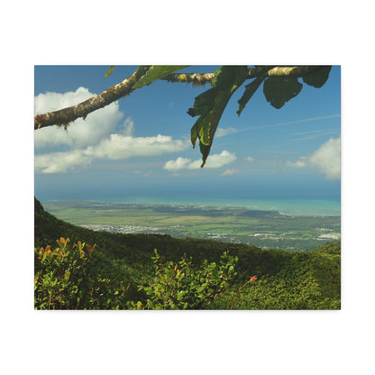 Tropical Vista Canvas Print —Awesome view from Tres Picachos Peak -  Stretched 1.5" Wall Art