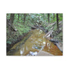 Deep Forest Explorations - El Yunque Holy Spirit River - Nikon D850 - Forest Creek Canvas Print - Stretched 0.75" Nature Wall Art