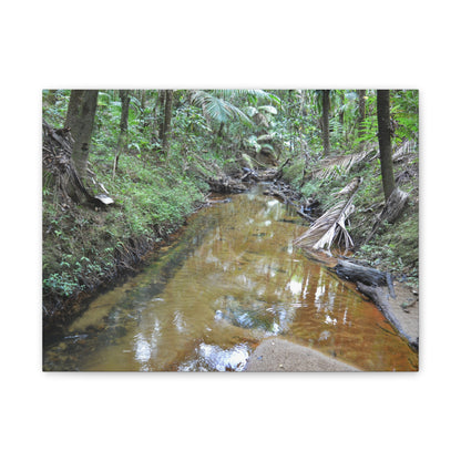 Deep Forest Explorations - El Yunque Holy Spirit River - Nikon D850 - Forest Creek Canvas Print - Stretched 0.75" Nature Wall Art