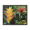 Tropical Vista Matte Canvas Framed Wall Art - Forest explorations - Deep in El Yunque rainforest PR - Mosaic#1 of the Flowers of El Yunque rainforest