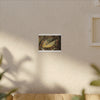 Tradewinds Trail - Fallen Colorful Leaf - Matte Canvas Print — Stretched Wall Art - El Yunque Rainforest - Puerto Rico - Deep forest explorations