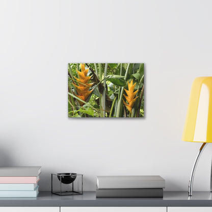 Tropical Heliconia Canvas Print — El Yunque rainforest - Vibrant Jungle Wall Art