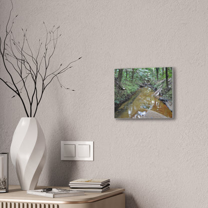 Deep Forest Explorations - El Yunque Holy Spirit River - Nikon D850 - Forest Creek Canvas Print - Stretched 0.75" Nature Wall Art