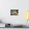 Tropical Creek Canvas Print — Matte Stretched Wall Art (Multi-Size) - El Yunque Rainforest - Puerto Rico - Deep forest explorations