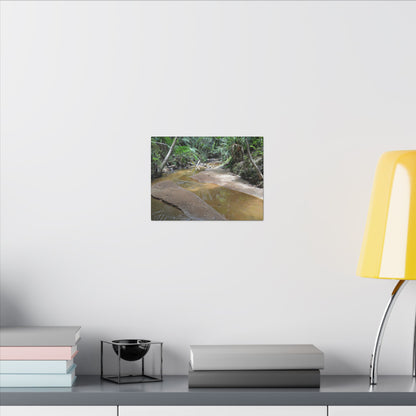 Tropical Creek Canvas Print — Matte Stretched Wall Art (Multi-Size) - El Yunque Rainforest - Puerto Rico - Deep forest explorations