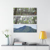 Two Views of the RainFoest  of El Yunque and a rare View of the El Yunque Mountain - Nikon D850 - Triptych Acrylic Print – Forest Creek Landscape Wall Art