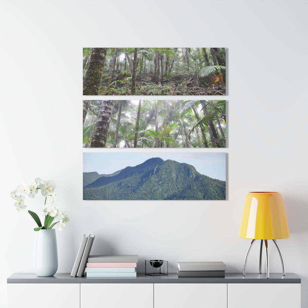 Two Views of the RainFoest  of El Yunque and a rare View of the El Yunque Mountain - Nikon D850 - Triptych Acrylic Print – Forest Creek Landscape Wall Art