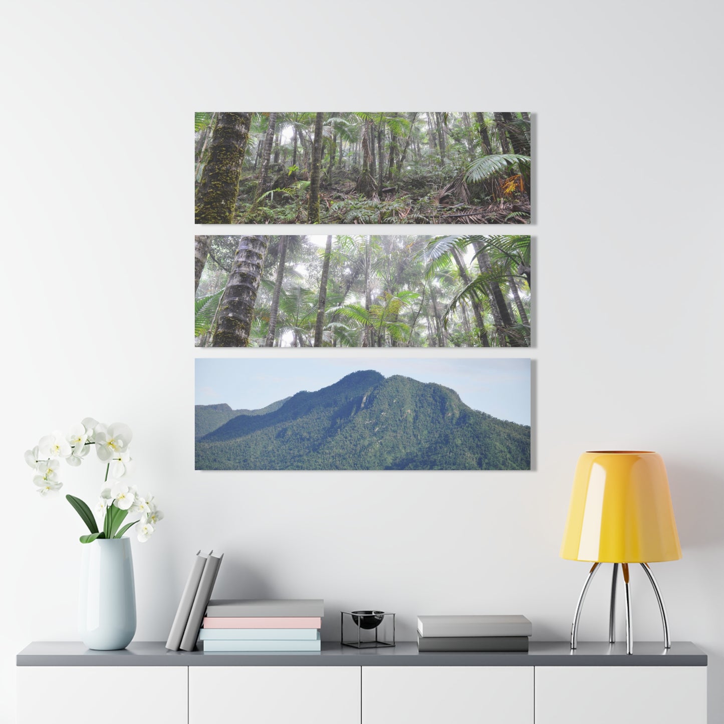 Two Views of the RainFoest  of El Yunque and a rare View of the El Yunque Mountain - Nikon D850 - Triptych Acrylic Print – Forest Creek Landscape Wall Art
