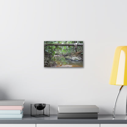 Deep Forest Explorations - El Yunque Holy Spirit River - Nikon D850 - Rainforest Creek Canvas Print — Tropical Jungle Stream Wall Art