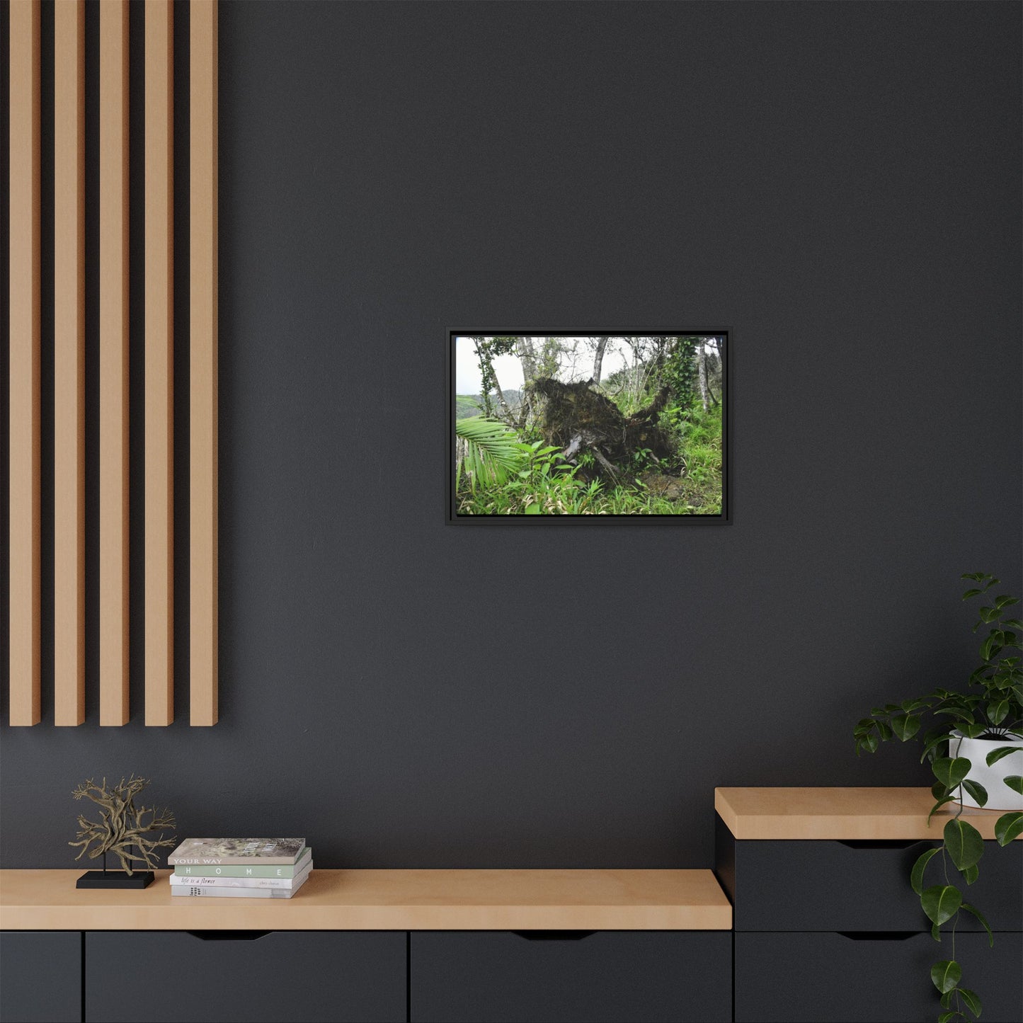Framed Matte Canvas Wall Art — Tropical Rainforest Roots Photography - Not a nice image - but its an uprooted tree from 2017 Hurricane Maria > 200 MPH winds- that can survive hurricanes