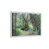 Tropical Vista Matte Canvas Framed Wall Art — Magic section of the remote Tradewinds Trail -  El Yunque rainforest PR