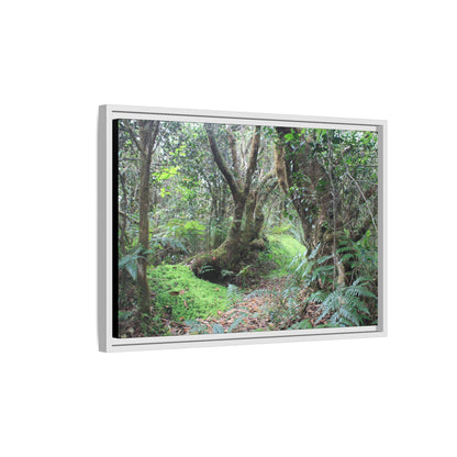 Tropical Vista Matte Canvas Framed Wall Art — Magic section of the remote Tradewinds Trail -  El Yunque rainforest PR