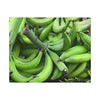 Green Banana Bunch Matte Canvas Wall Art — Tropical Kitchen Decor - Platanos in Puerto Rico - ready for cooking - for tostones etc.