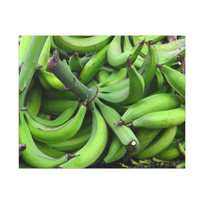 Green Banana Bunch Matte Canvas Wall Art — Tropical Kitchen Decor - Platanos in Puerto Rico - ready for cooking - for tostones etc.