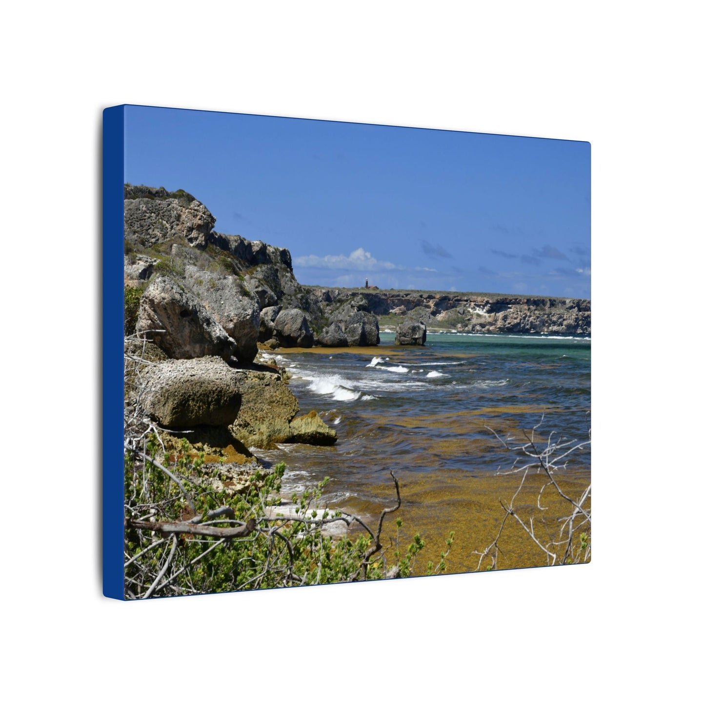 Coastal Cliff Seascape Canvas Print - Mona Island - 40 miles from Puerto Rico - Pristine & isolated