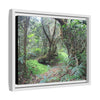 Tropical Vista Matte Canvas Framed Wall Art — Magic section of the remote Tradewinds Trail -  El Yunque rainforest PR
