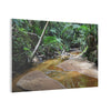 Deep Forest Explorations - El Yunque Holy Spirit River - Nikon D850 - Tropical Creek Canvas Print — Lush Rainforest River Wall Art