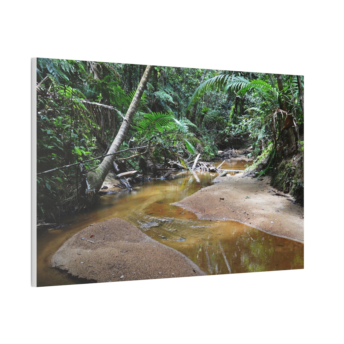 Deep Forest Explorations - El Yunque Holy Spirit River - Nikon D850 - Tropical Creek Canvas Print — Lush Rainforest River Wall Art