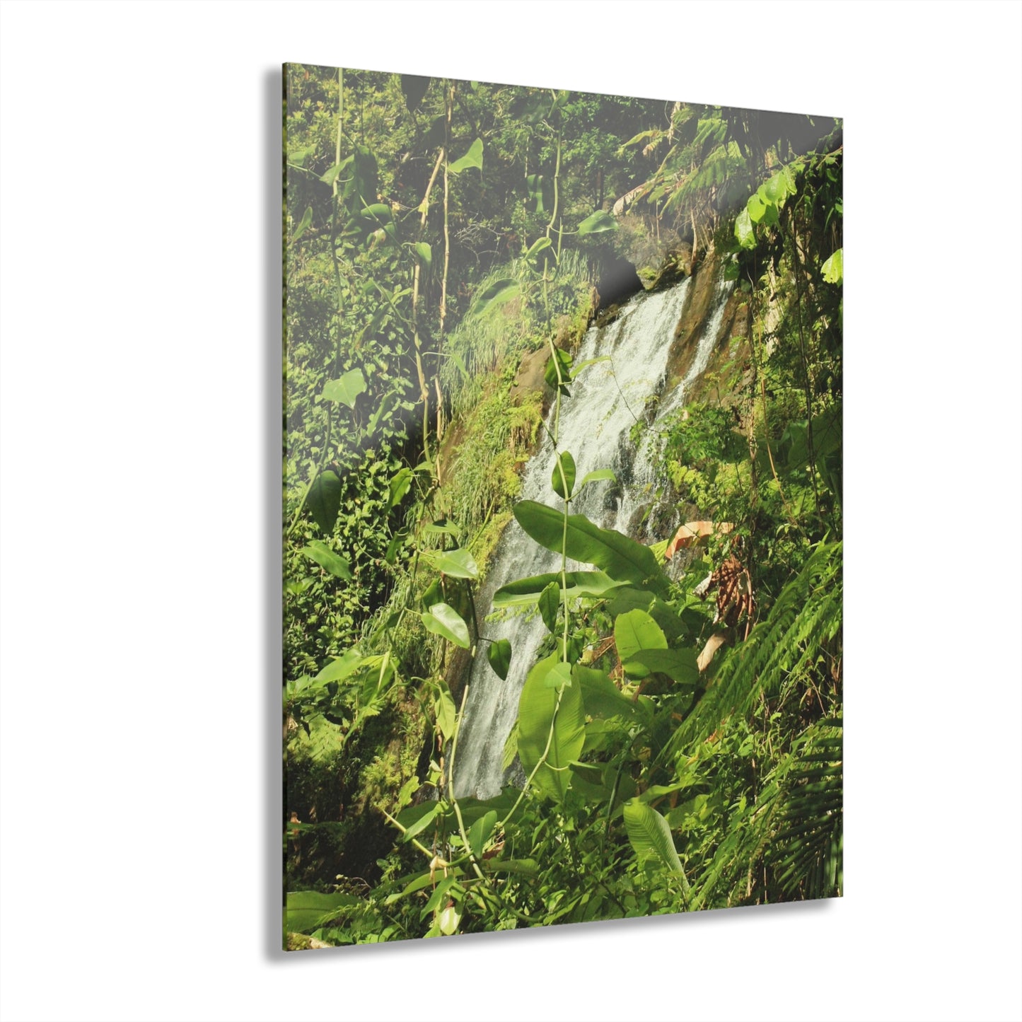 Tropical Waterfall Acrylic Print — The famous La Coca Falls -  El Yunque RainForest  - Glossy French-Cleat Wall Art