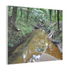 Deep Forest Explorations - El Yunque Holy Spirit River - Nikon D850 - Forest Creek Canvas Print - Stretched 0.75" Nature Wall Art
