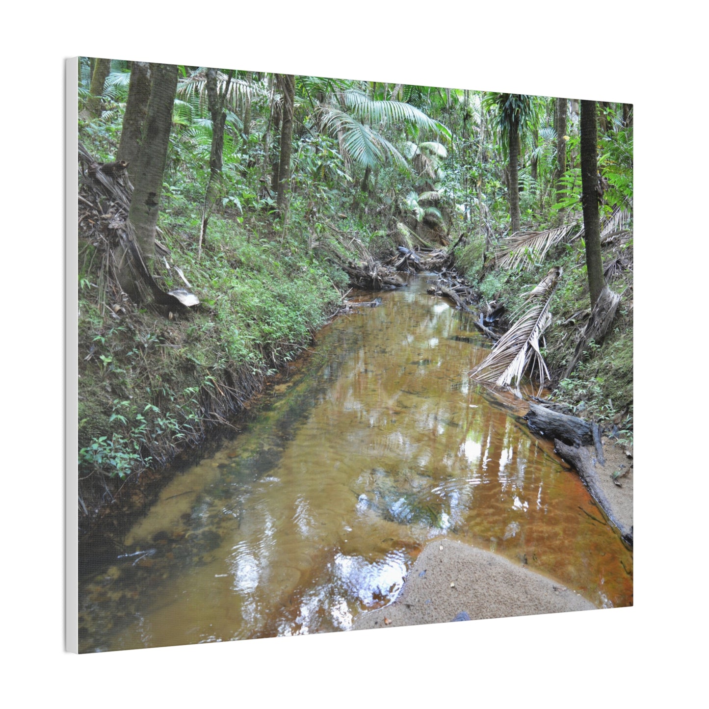 Deep Forest Explorations - El Yunque Holy Spirit River - Nikon D850 - Forest Creek Canvas Print - Stretched 0.75" Nature Wall Art
