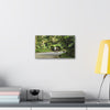 Tropical Road Walk Canvas — Couple with cat and dog in El Yunque - Scenic Nature Wall Art