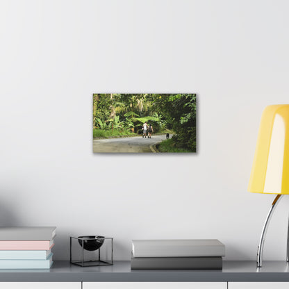 Tropical Road Walk Canvas — Couple with cat and dog in El Yunque - Scenic Nature Wall Art