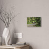 Tropical Road Walk Canvas — Couple with cat and dog in El Yunque - Scenic Nature Wall Art
