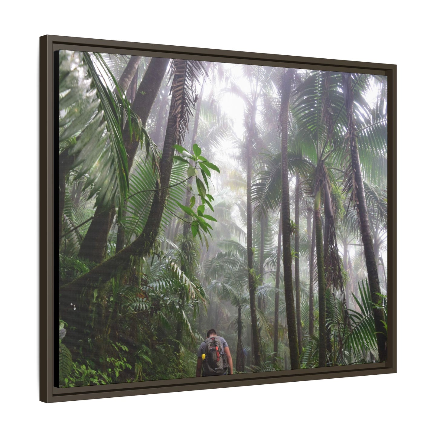 Tropical Vista Matte Canvas Framed Wall Art - Forest explorations - My son Jose is tired on El Yunque High-Forest (in the clouds) trail -  El Yunque rainforest PR