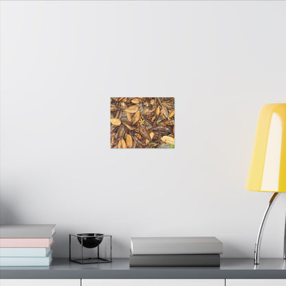 Leaf Floor Canvas Print — Matte Stretched Wall Art - Tradewinds trail - below canopy of local peak - leaf variety & geometry & stars ...