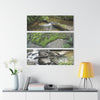 Deep Forest Explorations - Pristine Rio Sabana Nature Art - El Yunque RainForest  - Nikon D850 - Tropical Rivers Triptych Acrylic Print – Panoramic Jungle Wall Aert