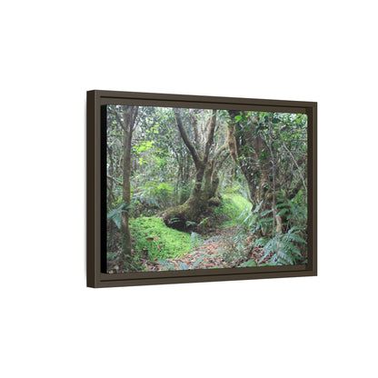 Tropical Vista Matte Canvas Framed Wall Art — Magic section of the remote Tradewinds Trail -  El Yunque rainforest PR