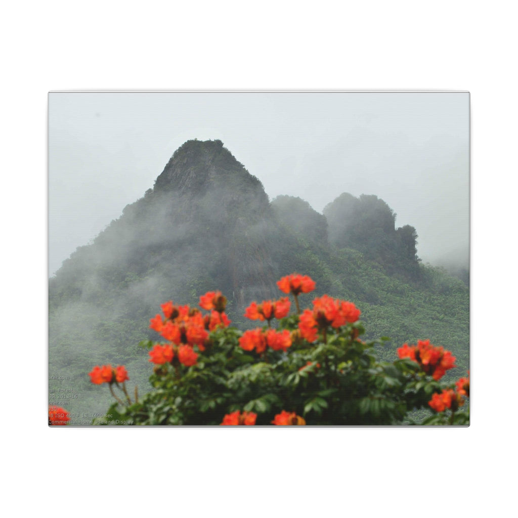 Misty Mountain with Red Flowers Canvas Wall Art — Botanical Landscape Print - Nikon Telephoto from Yokahu Tower - LUCKY day after storm