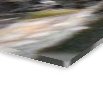 El Yunque Rainforest -Bamboo Variety Protecting Roads - Nikon D850 - Triptych Acrylic Print – Forest Creek Landscape Wall Art