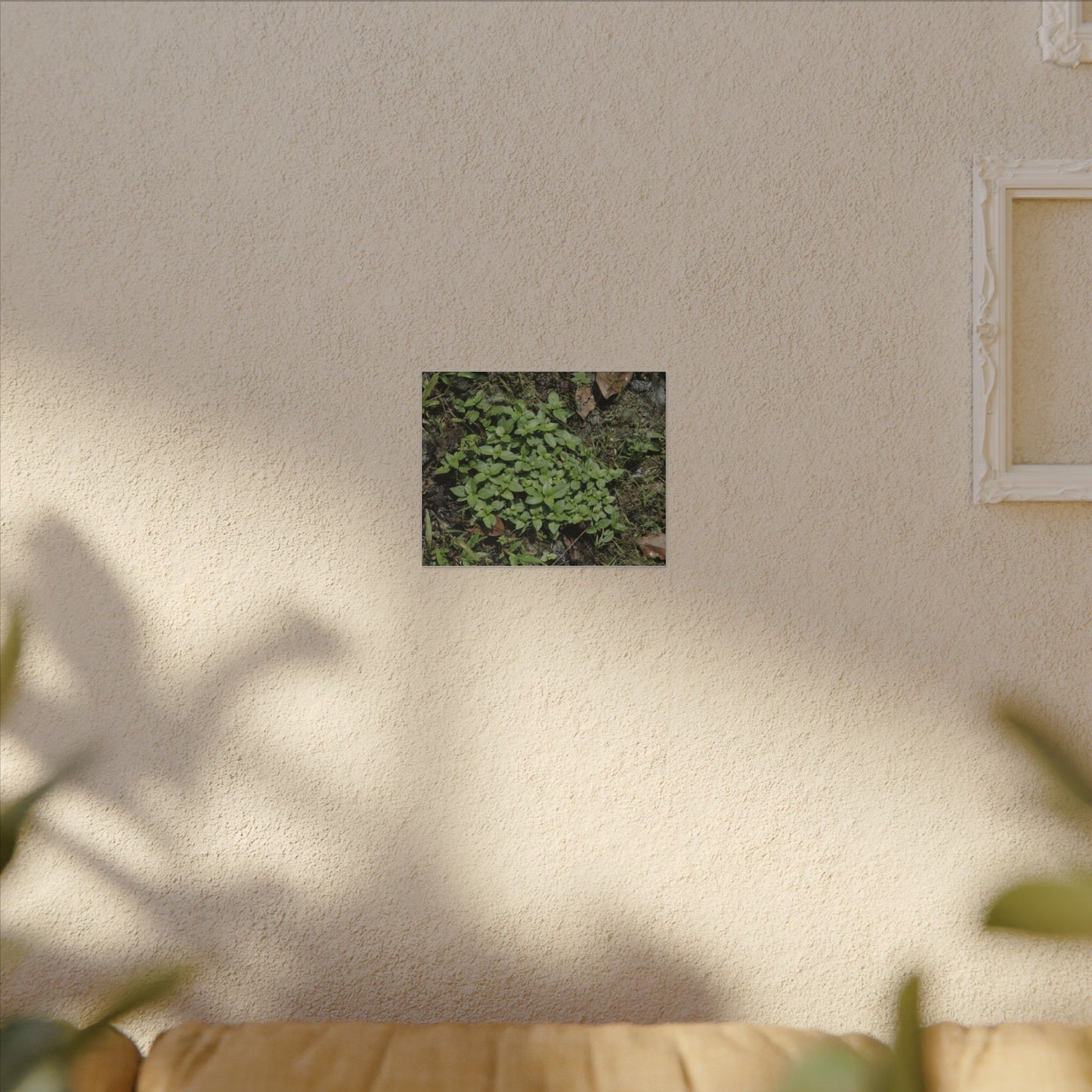 Green Groundcover Matte Canvas Wall Art — Lush Clover Patch Nature Print - Plants below the forest canopy - El Yunque Rainforest - Puerto Rico