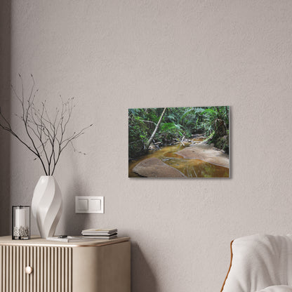 Deep Forest Explorations - El Yunque Holy Spirit River - Nikon D850 - Tropical Creek Canvas Print — Lush Rainforest River Wall Art